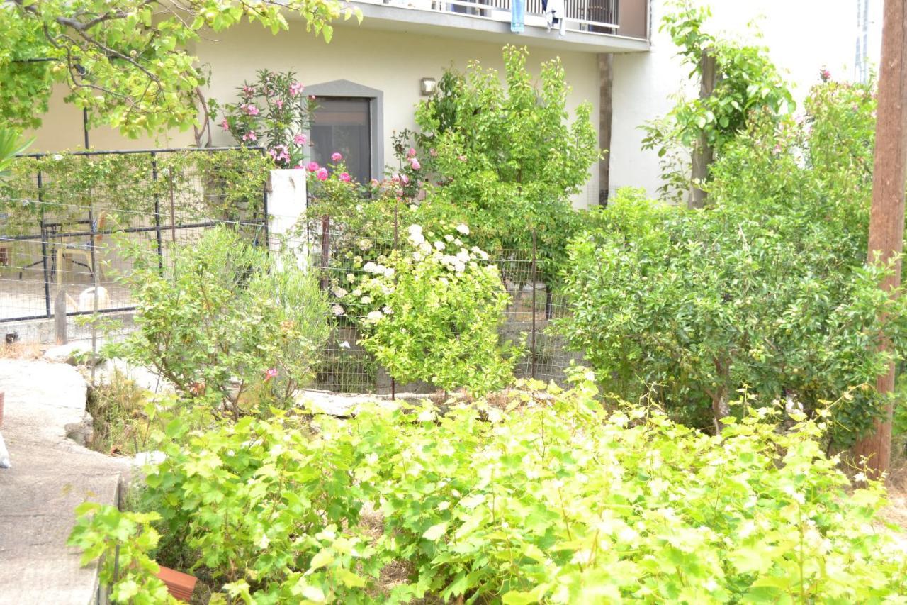 Ferienwohnung Lazatka Flat In Capital Chora Samothráki Exterior foto